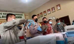 FB_IMG_1625240745832